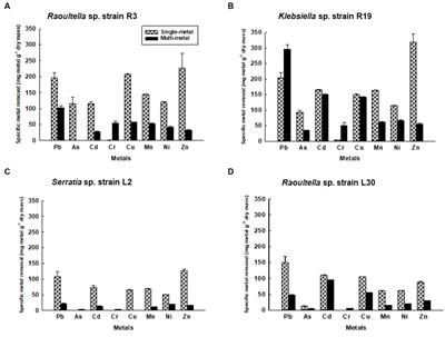 Metal tolerance and <mark class="highlighted">biosorption</mark> capacities of bacterial strains isolated from an urban watershed